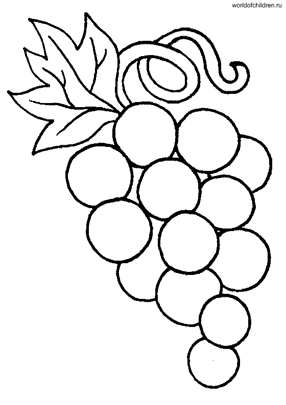 Раскраска виноград